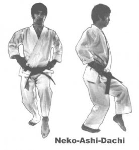 Kanazawa - nekoashi-dachi