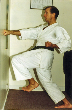 Push from the hips for the 'FEEL' of the back leg in zenkutsu